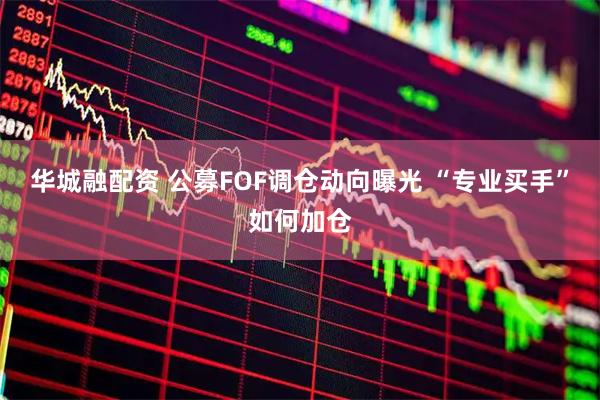 华城融配资 公募FOF调仓动向曝光 “专业买手”如何加仓