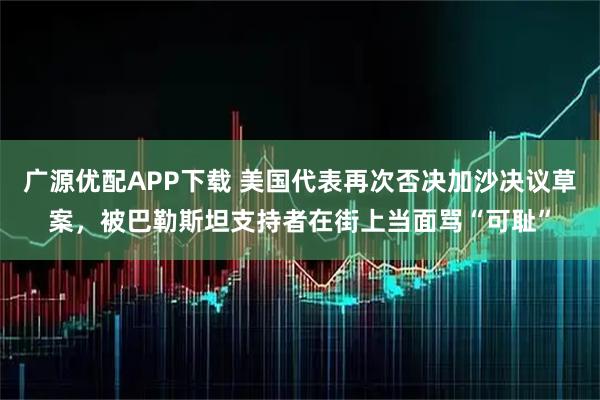 广源优配APP下载 美国代表再次否决加沙决议草案，被巴勒斯坦支持者在街上当面骂“可耻”
