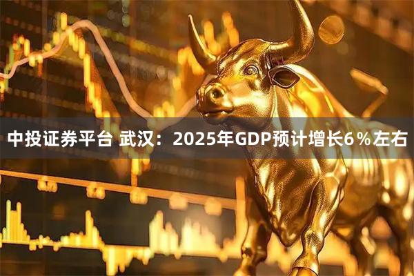 中投证券平台 武汉：2025年GDP预计增长6％左右