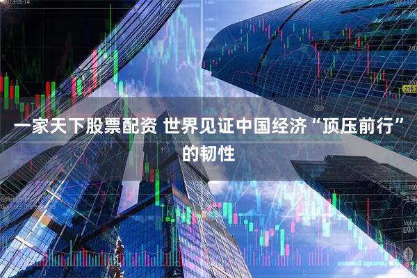 一家天下股票配资 世界见证中国经济“顶压前行”的韧性